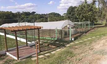 Imagem 4: Sitio em santo antonio da alegria 9.5 alqueires 4.100.000.00