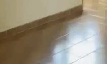 Imagem 7: Apartamento duplex em Governador Valadares