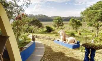 Imagem 6: Sítio em Mogi das Cruzes