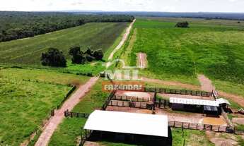 Imagem 5: Fazenda 255 Alqueires (1.234 Hectares) Aragarças - GO