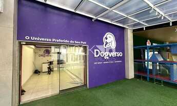 Imagem 7: Recreio dos Bandeirantes