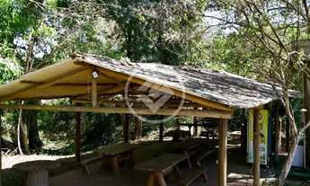 Imagem 6: Mairipotaba - Fazenda de 24 Alqueires codigo: 130578