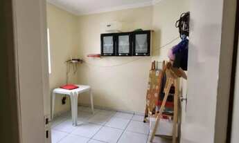 Imagem: 514. Coroadinho