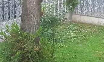 Imagem: Casa em Rua Abel Ramos - Vila Maria Alta