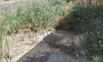 Imagem 4: Casa com 2 dormitorios no Bairro Harmonia Canoas