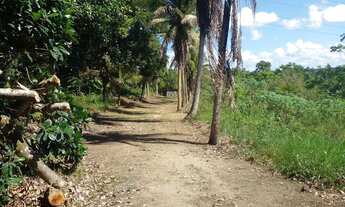 Imagem 7: Sítio em cachoeira Bahia