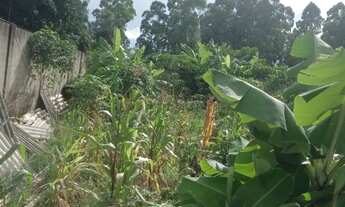 Imagem 3: Lote Jardim das Hortências