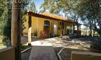 Imagem: Sítio a venda - Centro, Guaratinguetá