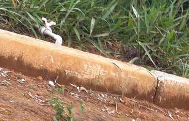 Imagem 2: Lote 26 de Setembro