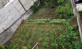 Imagem 4: CAXIAS DO SUL - Casa Padrão - CINQUENTENÁRIO