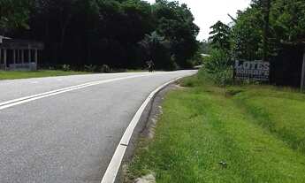 Imagem 4: LOTES C/ IGARAPE PROX.AO CUMARU /VIGIA