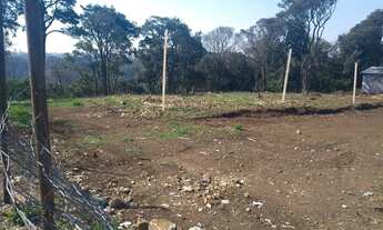 Imagem 6: CAXIAS DO SUL - Terreno Padrão - Vila Lobos