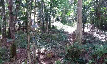 Imagem 2: Chácara em agudos do sul