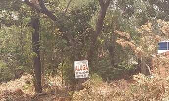 Imagem 5: Lote para locação 212 norte