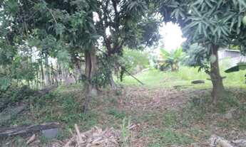 Imagem 2: Terreno no Rio São Francisco (Chatuba