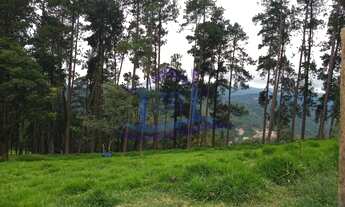 Imagem 3: MAIRIPORÃ - Terreno Padrão - OLHO D'ÁGUA