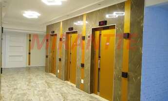 Imagem 5: Lindo apartamento em Vila Amelia