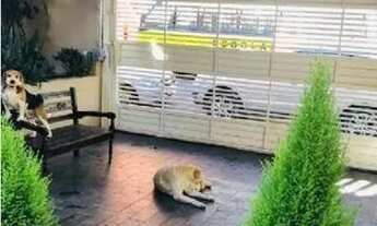 Imagem 3: Sobrado com 4 dormitórios, 262 m² - venda por R$ 692.000,00 ou aluguel por R$ 3.350,00/mês