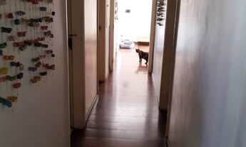 Imagem: APTO ANTIGO 141MTS 2VGS 4DOR CAMPESTRE!