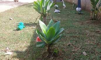 Imagem 3: Vendo chácara eldorado próxima gama sul