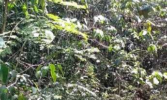 Imagem 4: /Lote em Açutuba com 4 mil m2