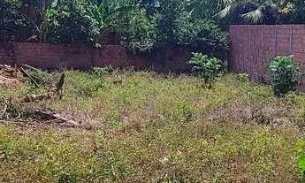 Imagem 5: Vendo terreno no tajaçuaba zona rural de são Luís MA