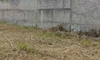 Imagem 6: Terreno bairro Alto Curitiba