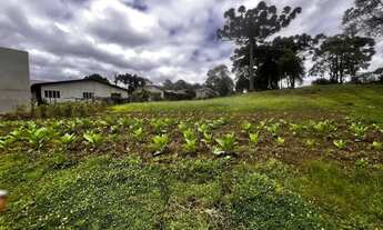 Imagem 2: Terreno para Venda em São José dos Pinhais, Jurema