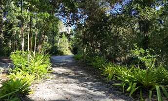 Imagem 6: Imóvel para venda com 1000 metros quadrados em Velha Boipeba - Cairu - BA