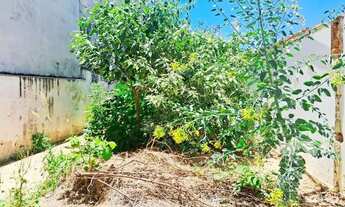 Imagem 4: Terreno na Vila Formosa à Venda - 100m² - Cód 3689