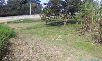 Imagem 5: CHACARA - JARDIM ÍSIS - SP