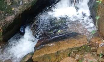Imagem: Fazenda a venda