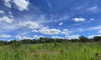 Imagem: Terreno de 4 ha, plano, 50 formado em baquearia