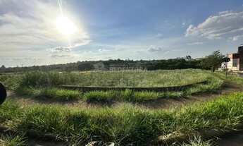 Imagem 5: Terreno Área em São José do Rio Preto