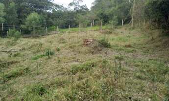 Imagem 3: Chácara com Riacho