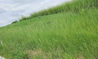 Imagem 3: Terreno no Residencial Amazonas 2