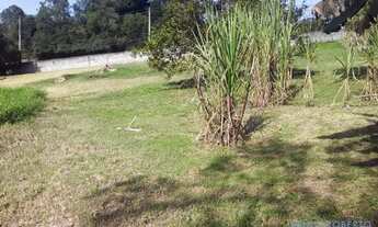 Imagem 4: CHACARA - JARDIM ÍSIS - SP