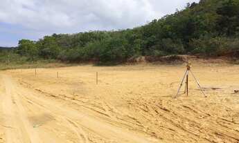 Imagem 4: Oportunidade de lotes em Araçás Bahia