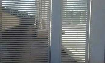 Imagem 5: EXCELENTE GALPÃO ALUGUEL NA AVENIDA TEOTONIO SEGURADO