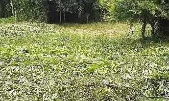 Imagem: EXCLENTE TERRENO NA SC 401 - FLORIANOPIOLIS/SC