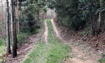 Imagem 7: Sítio em piedade 8 alqueires