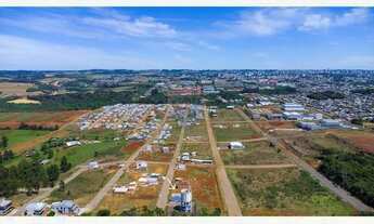 Imagem 6: Terreno a venda na parte alta do Loteamento Arvoredo