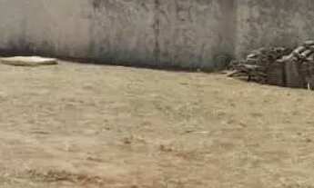 Imagem 4: Vendo terreno 750m² Jd Tarraf/Aclimação