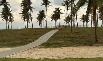 Imagem: Lote mares Maluy