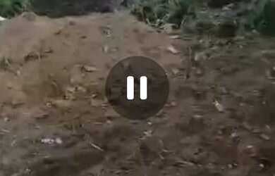 Imagem 3: Lote 200 m2 Monte-mor bairro São Clemente 2