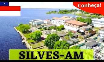 Imagem: Lote Terreno Município de Silves-AM 12.000m²