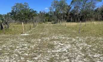 Imagem 6: Terreno 20x60 Cercado