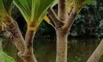 Imagem 4: Linda casa no Mirante do Vale!