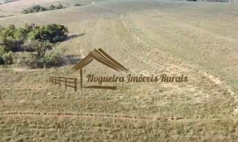 Imagem: Excelente área com 13,74 alqueires na Região