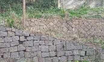 Imagem 5: Terreno familiar no Camorim